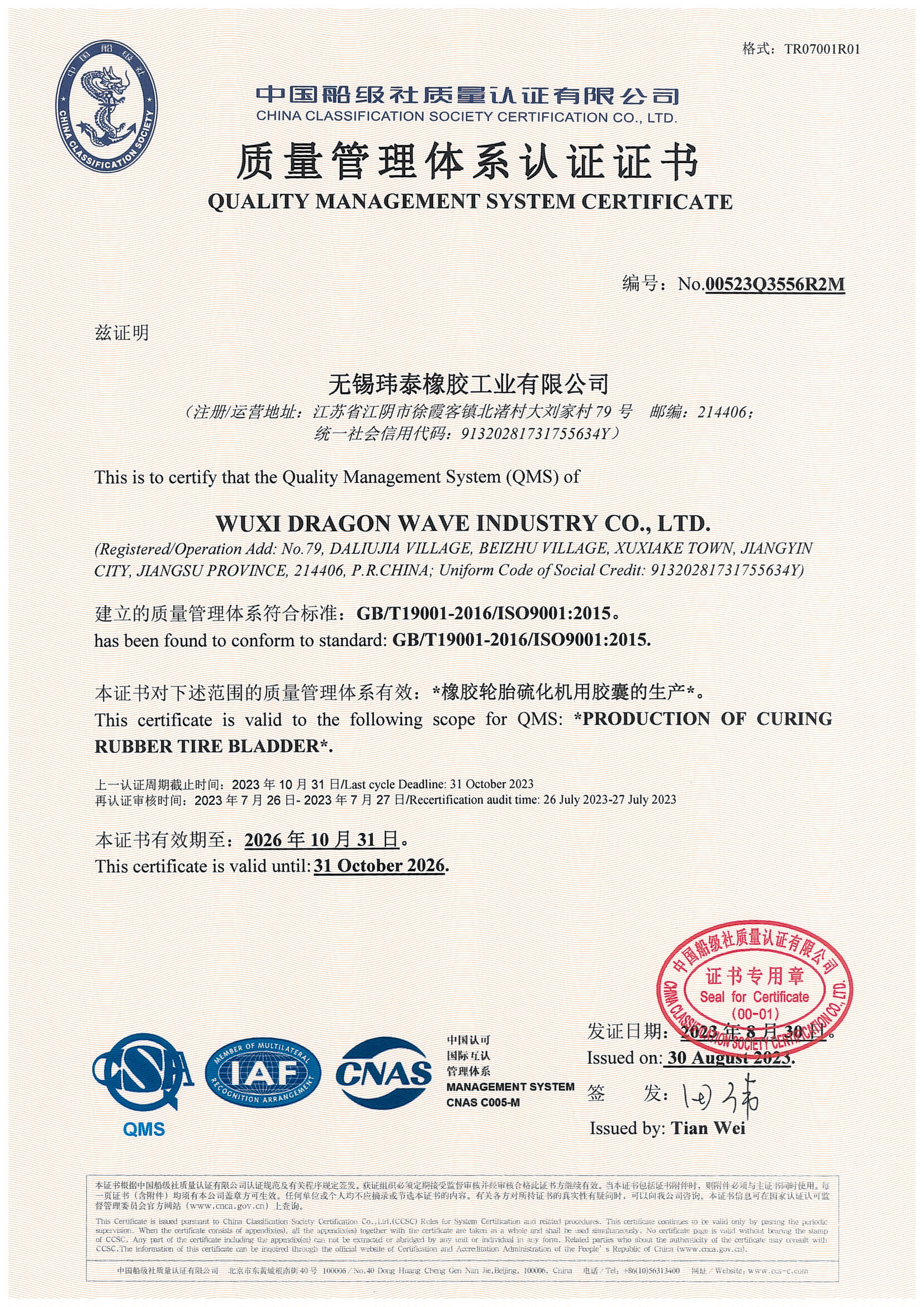 Dragon Wave ISO9001
